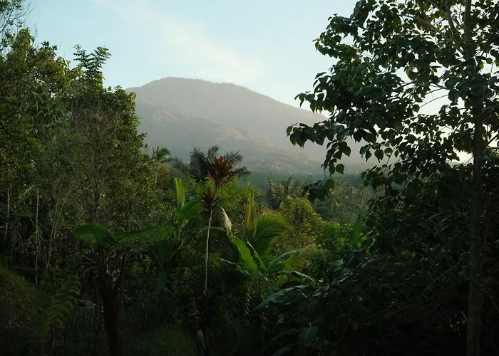 Luciole Mountain House With Jungle & Volcano Views *