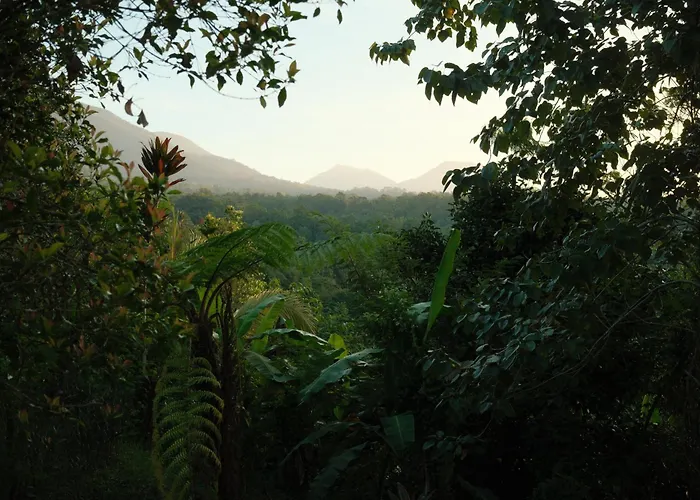 Luciole Mountain House With Jungle & Volcano Views
